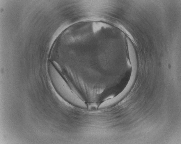 X0000075901484200610062105