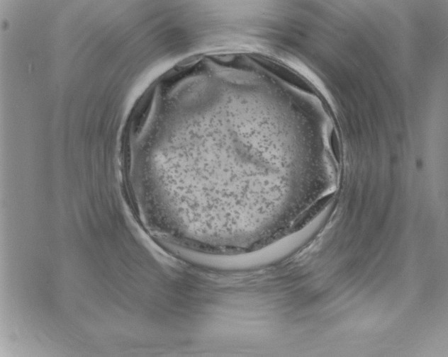 X0000075901485200610062105