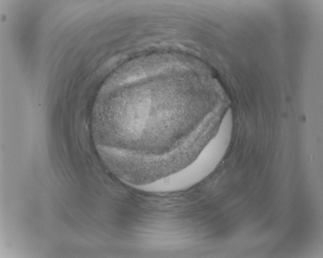 X0000075901489200610062104