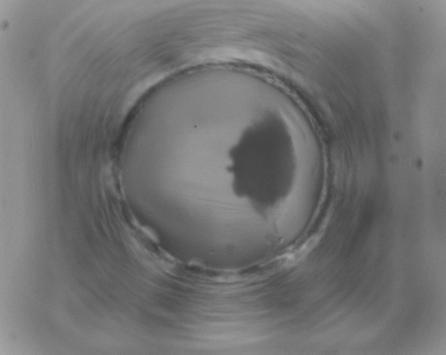 X0000075901497200610062104