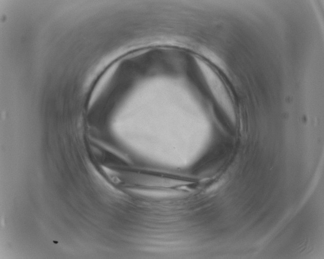 X0000075901500200610062104