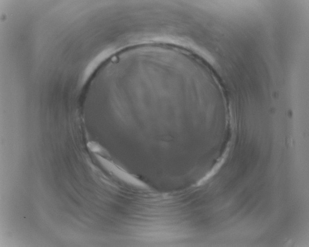 X0000075901501200610062105