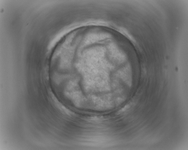 X0000075901504200610062105