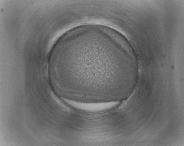 X0000075901507200610062105