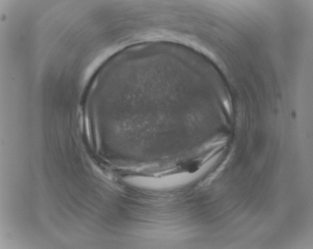 X0000075901509200610062105