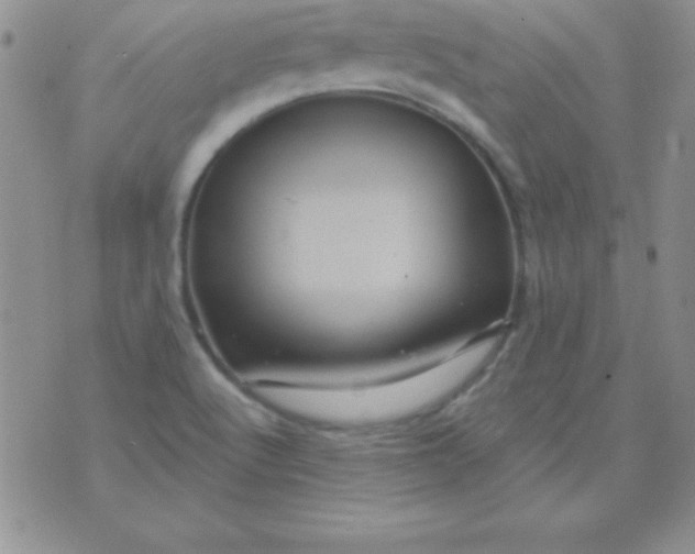 X0000075901512200610062105