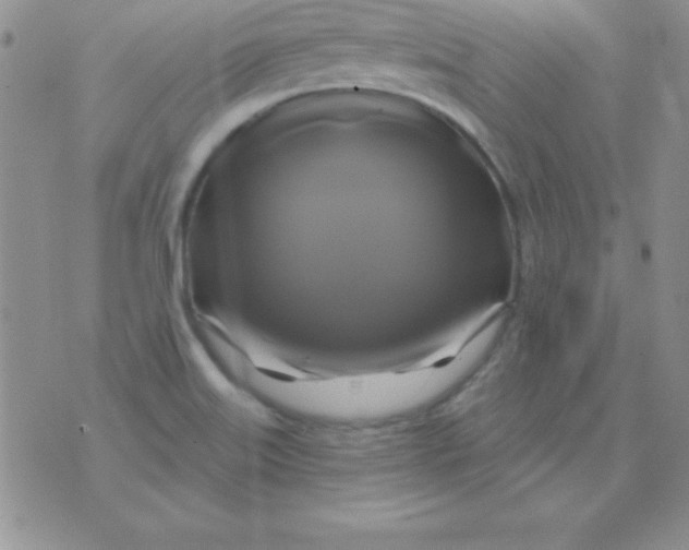 X0000075901515200610062105