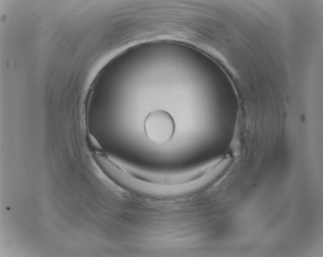 X0000075901516200610062105