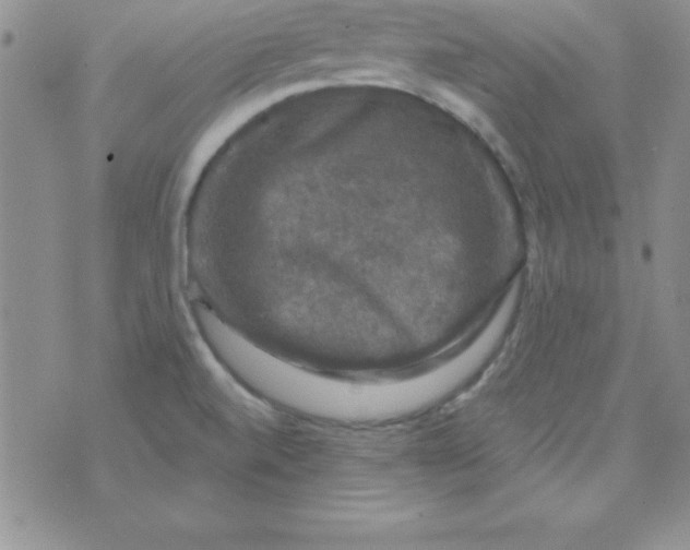 X0000075901520200610062105