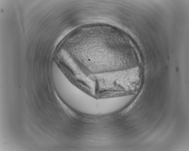 X0000075901521200610062105