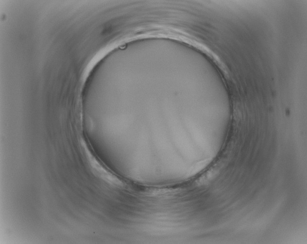 X0000075901522200610062105