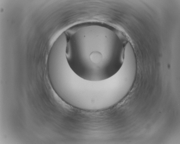 X0000075901524200610062105