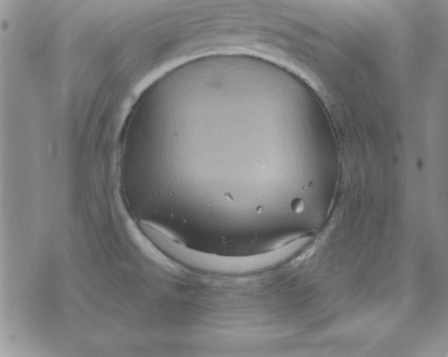 X0000075901526200610062105