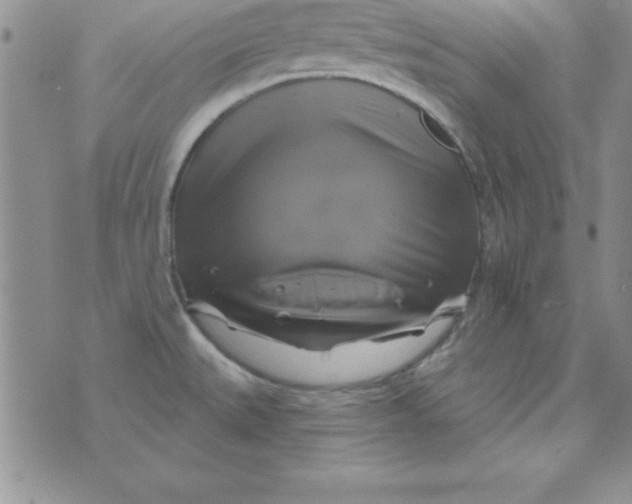 X0000075901527200610062105