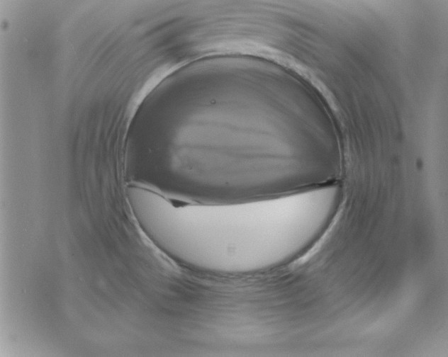 X0000075901529200610062105