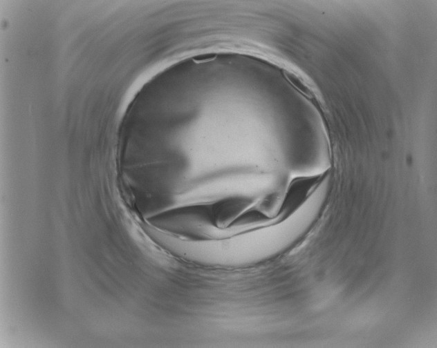 X0000075901530200610062105