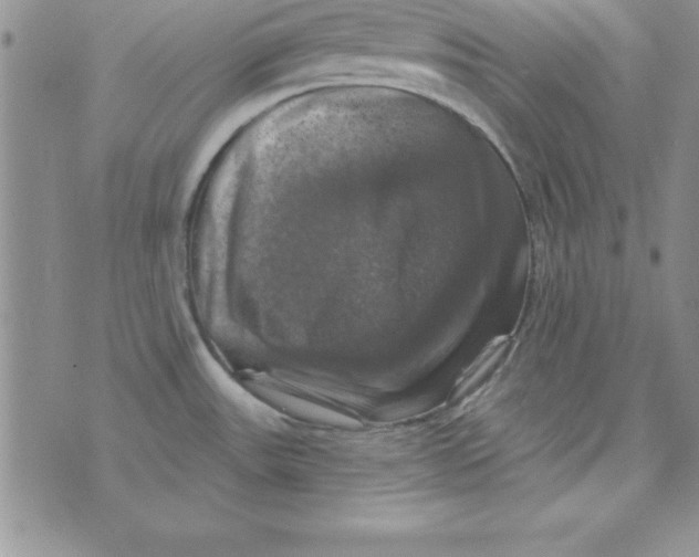 X0000075901531200610062105