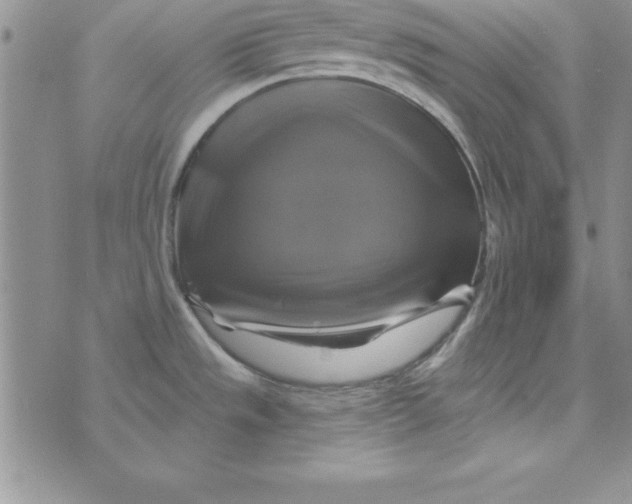 X0000075901533200610062105