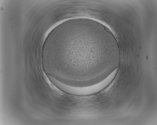 X0000075901534200610062105