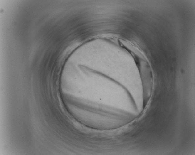 X0000075900001200610151828