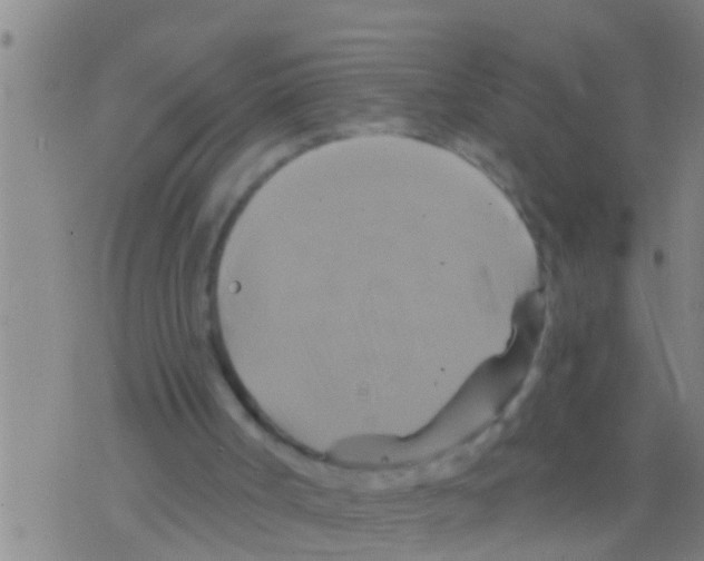 X0000075900002200610151828