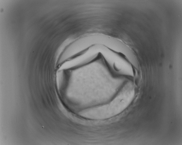 X0000075900003200610151828