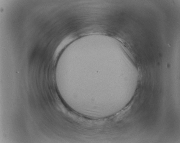 X0000075900004200610151828