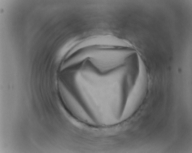 X0000075900005200610151828