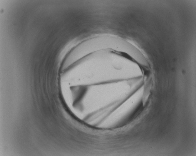 X0000075900007200610151828