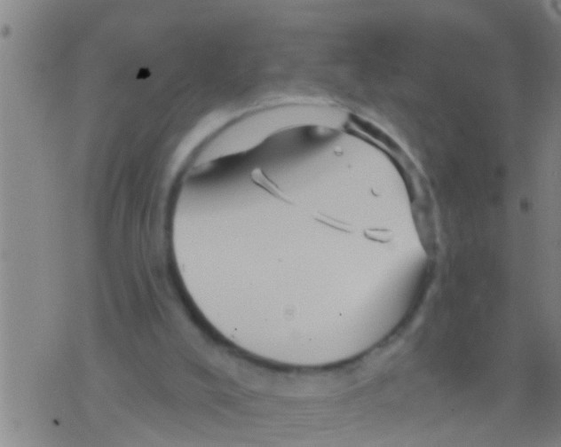 X0000075900008200610151828