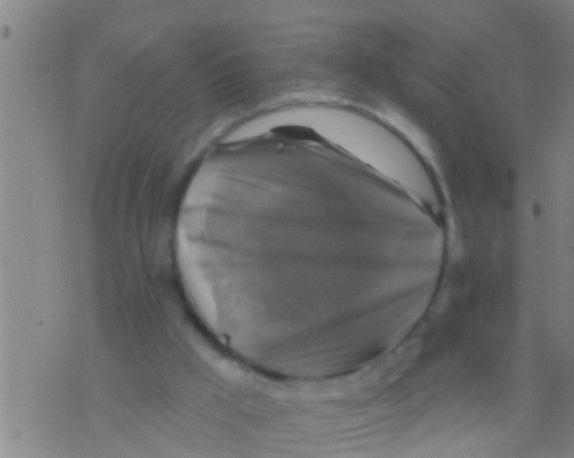 X0000075900009200610151828