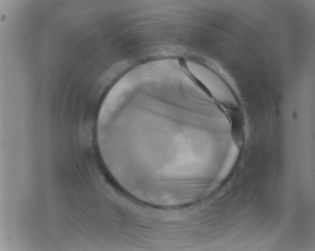 X0000075900010200610151828