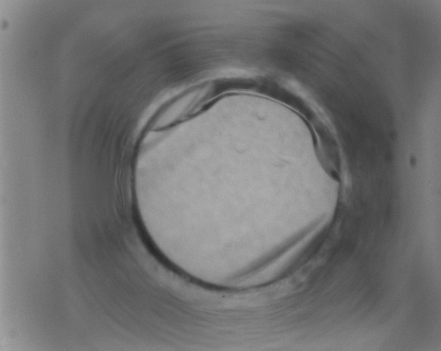 X0000075900011200610151828