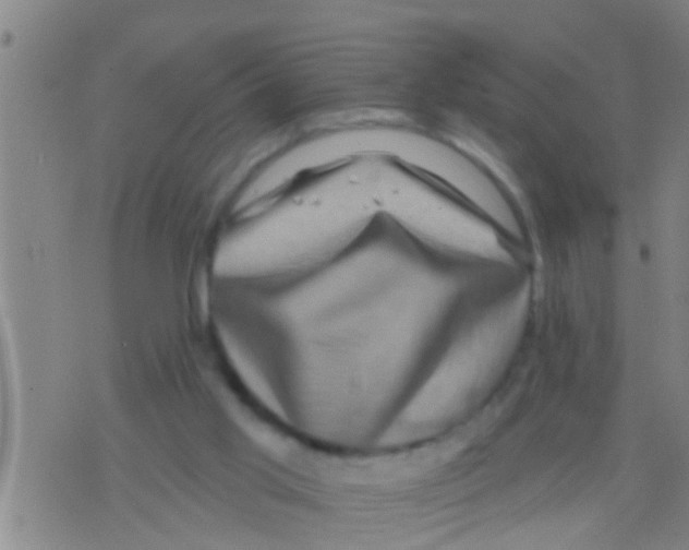 X0000075900013200610151827