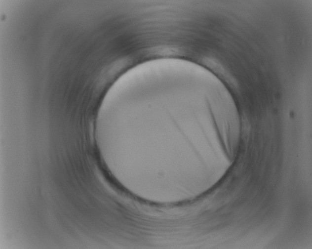 X0000075900014200610151827