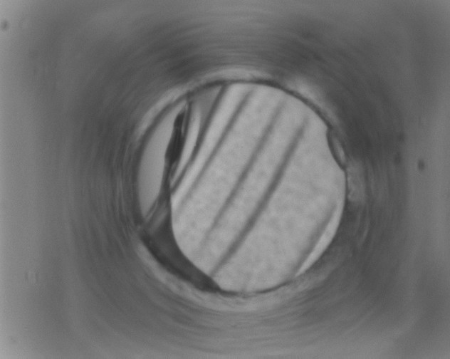 X0000075900015200610151827