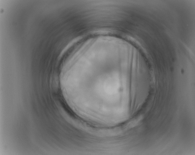 X0000075900016200610151827