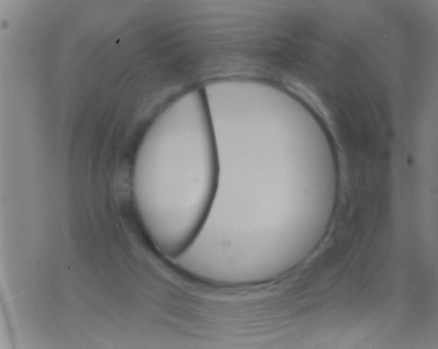 X0000075900017200610151827