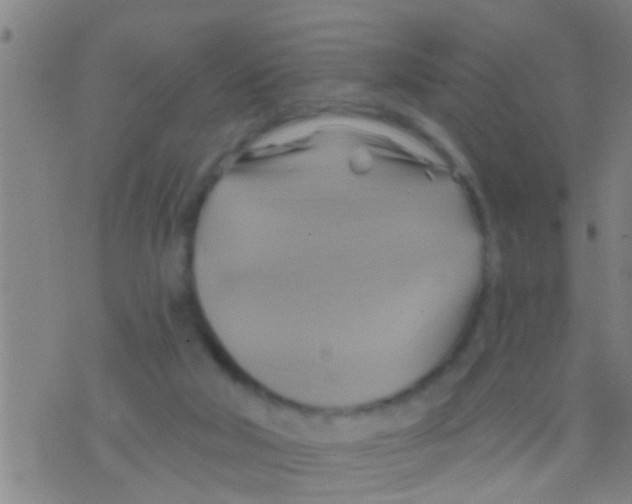 X0000075900018200610151827