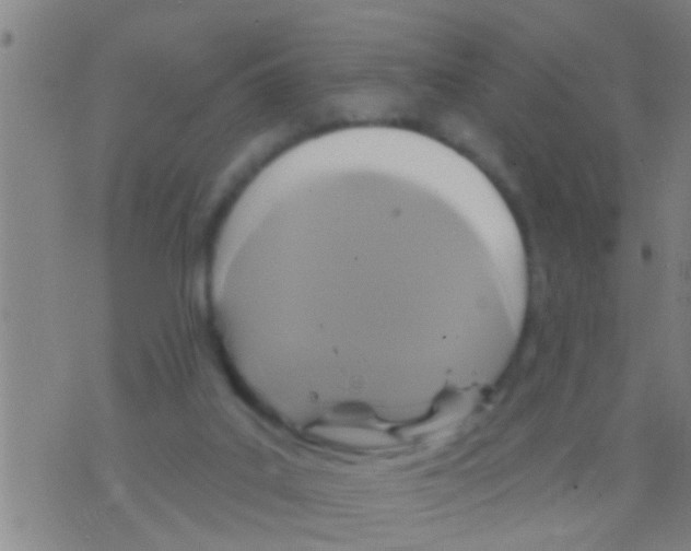 X0000075900019200610151827