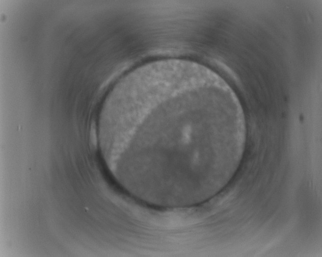 X0000075900020200610151827