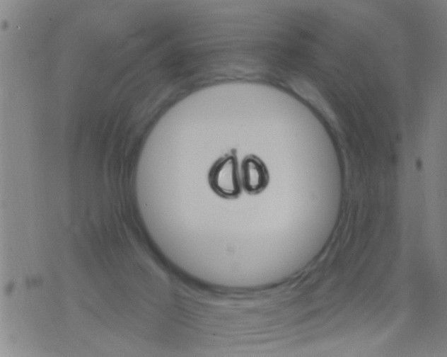 X0000075900021200610151827