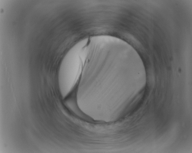 X0000075900022200610151827