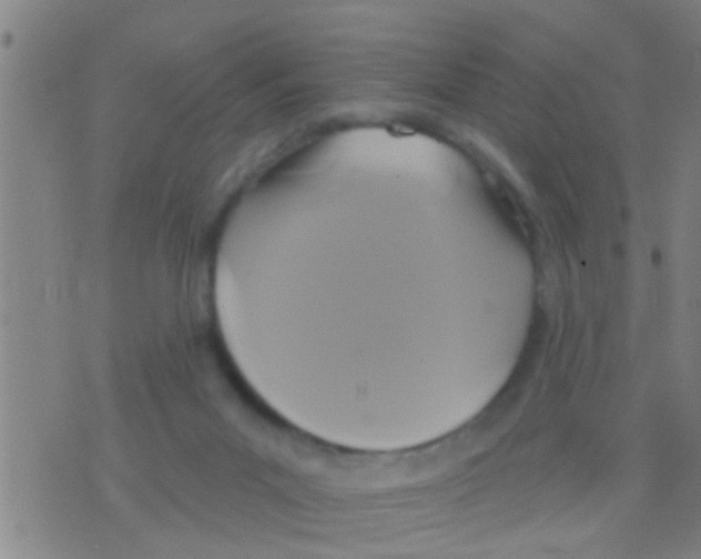 X0000075900023200610151827