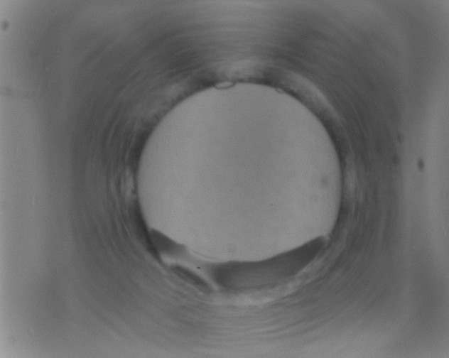 X0000075900025200610151827