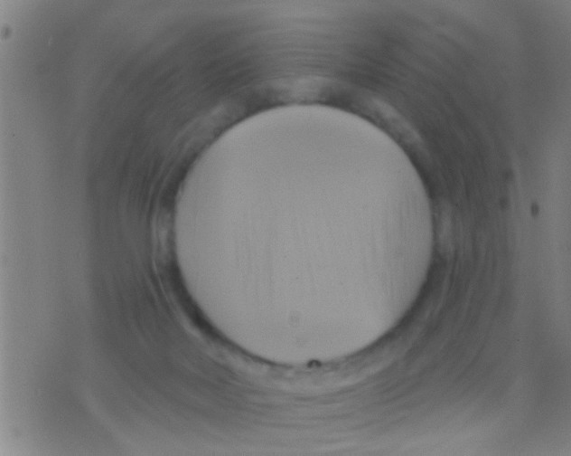 X0000075900026200610151827