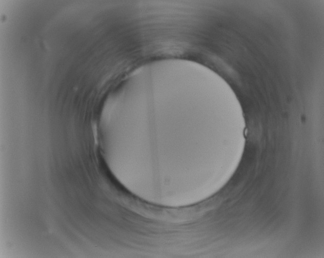 X0000075900027200610151827