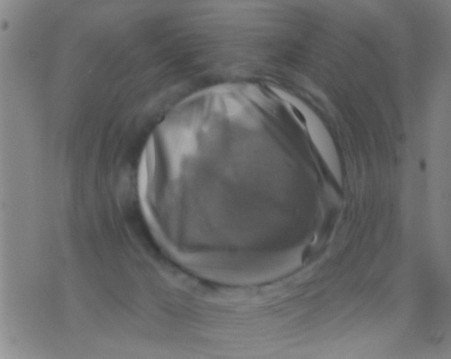 X0000075900029200610151827