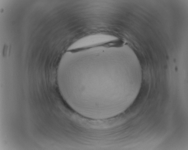 X0000075900030200610151827