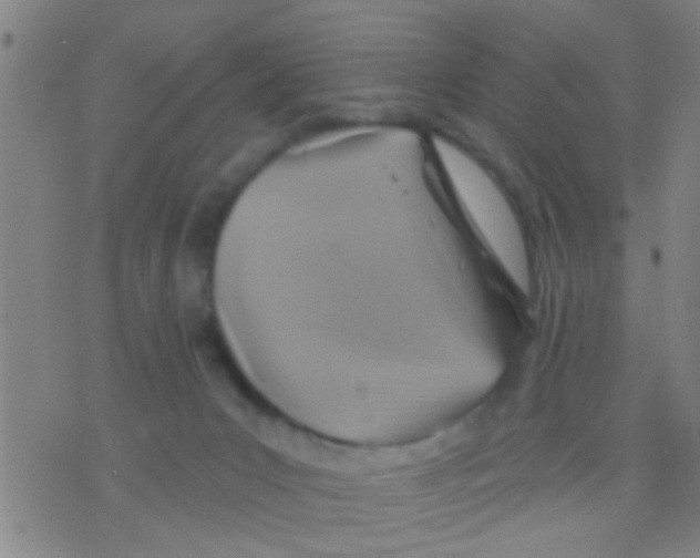 X0000075900031200610151827